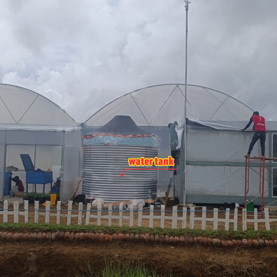 Çiçek ve sebze yetiştirme sera Quonset kulübe konservatuar yetiştirme evi Çukurla bağlantılı Çatı havalandırması olan büyük seralar