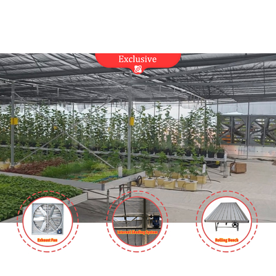 Çiçek ve sebze yetiştirme sera Quonset kulübe konservatuar yetiştirme evi Çukurla bağlantılı Çatı havalandırması olan büyük seralar