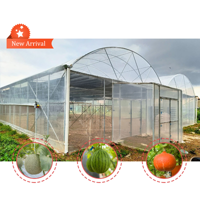 Çiçek ve sebze yetiştirme sera Quonset kulübe konservatuar yetiştirme evi Çukurla bağlantılı Çatı havalandırması olan büyük seralar