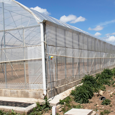 24m x 40m Çok Açıklıklı Sera, 150 Mikron PE Film Örtüsü