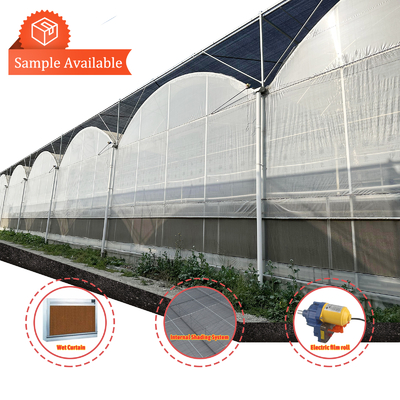 Multi-Span Sera 6.8m Span ile 100-200mikron PE Film