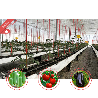 Multi-Span Sera 6.8m Span ile 100-200mikron PE Film