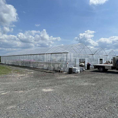 Büyük Multi-Span PE Sera 50-100m Uzunluk 7-10m Genişlik