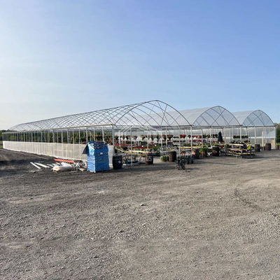 Büyük Multi-Span PE Sera 50-100m Uzunluk 7-10m Genişlik