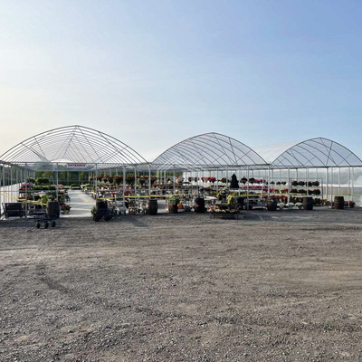Büyük Multi-Span PE Sera 50-100m Uzunluk 7-10m Genişlik