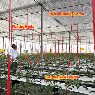 Galvanizli Çelik Çerçeve Sera 6m-12m Span 150/200mikron PE Filmi ile