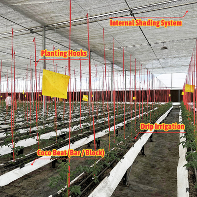 Galvanizli Çelik Çerçeve Sera 6m-12m Span 150/200mikron PE Filmi ile