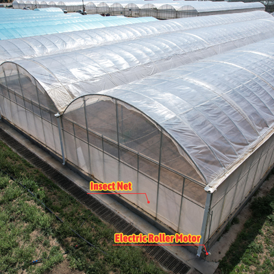 24x40m Galvanizli Çelik Sera, 150 mikron PE Film ile