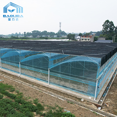 6m-12m Multi-Span PE Film Sera Kiti 10 Yıllık Garanti