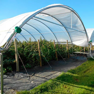 Low Cost Plastic Film Rain Shelter Greenhouse for Berry Planting with Large Size Customizable Dimensions