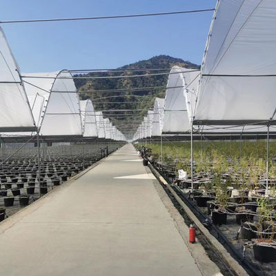 Large Size PE Material Rain Shelter Greenhouse with Hot Galvanized Steel Frame for Plants Cultivation