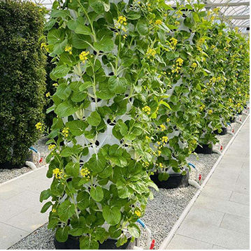Baolida 6 Layers 48 Holes Vegetable Farming Hydroponics Equipment Grow Cultivo Hidroponic Vertical System