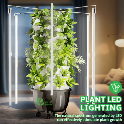 Baolida 6 Layers 48 Holes Vegetable Farming Hydroponics Equipment Grow Cultivo Hidroponic Vertical System