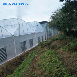 Reinforced Plastic Sheeting Greenhouse For Tropical Climate Prefabricated