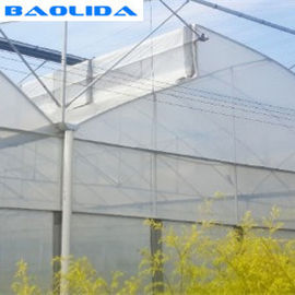 Clear Sawtooth Roof Multi Span Greenhouse Plastic Sheeting ISO9001 2008