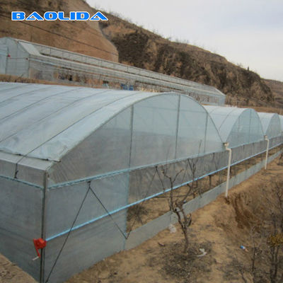 Galvanizli Tek Açıklıklı Plastik Tünel Sera Özelleştirilmiş Sebze Yetiştiriciliği