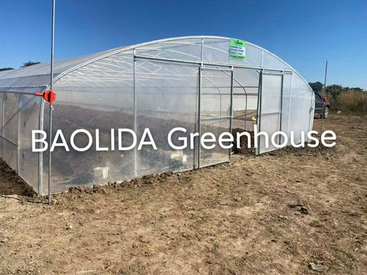 Tek Açıklıklı Sebze Tüneli Plastik Yetiştirme Evi Tarımsal Galvanizli