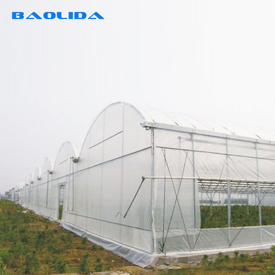 Tarım Bitkileri Yetiştirme Multispan Sera Soğutma Sistemi Üst / Yan Havalandırmalı