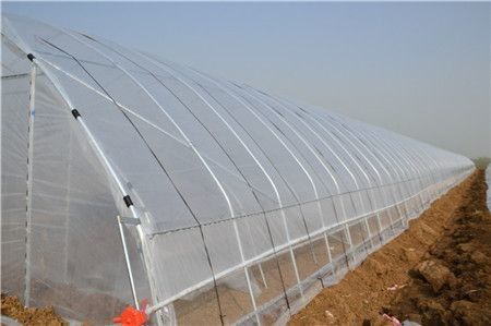 Tek Açıklıklı Sebze Tüneli Plastik Yetiştirme Evi Tarımsal Galvanizli