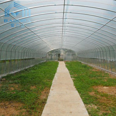 Tarım Bitkileri Yetiştirme Tarım Polietilen Film Tek Açıklıklı Tünel Plastik Sera