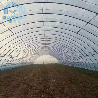 Tarımsal Tek Açıklıklı Tünel Çilek PE Sera Tüneli Plastik Sera