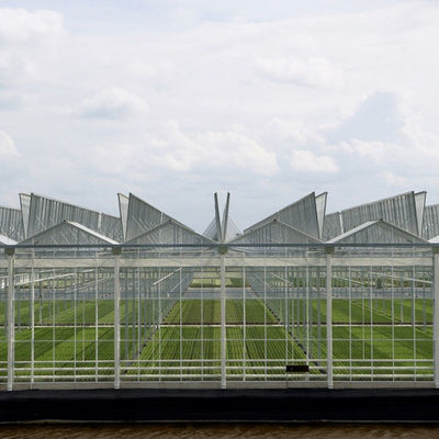 Bahçe Kış Örtüsü Mantar Solar Cam Sera Çok Açıklıklı Venlo Tipi Sera