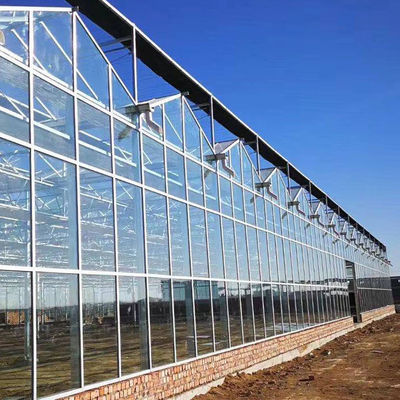 Bahçe Kış Örtüsü Mantar Solar Cam Sera Çok Açıklıklı Venlo Tipi Sera