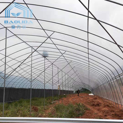 Tarım bitkileri yetiştirmek için galvanizli çelik boru Tek Açıklıklı Film Ticari Tünel Plastik Sera