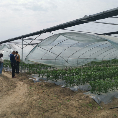 Yüksek Verimli Plastik Film Tarımsal Sera Yetiştirilen Çilek Yağmur Barınağı