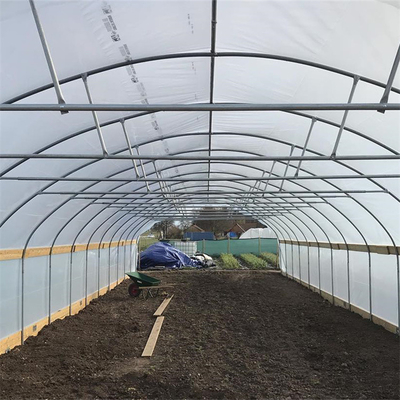 PE Film Büyüyen Lahana Tarım Tek Açıklıklı 10m Genişlik Tünel Plastik Sera