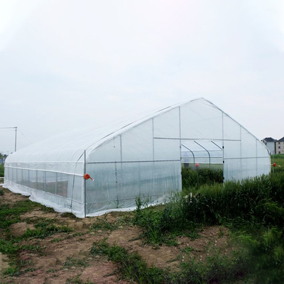 Çiftlik Tüneli Polietilen Film Serası / Çeşitli Sebzeler İçin Şeffaf Plastik Sera