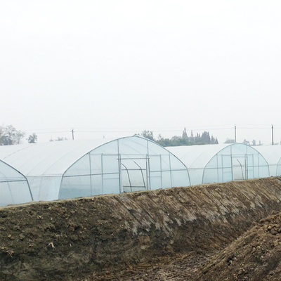 Çilek Yetiştiriciliği Tarımsal Tek Açıklıklı 2m Tünel Plastik Sera
