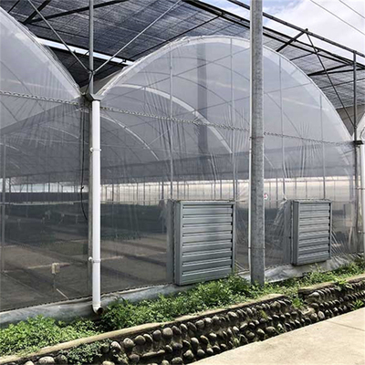 Sebze için Galvanizli Çelik Boru Tarımsal Plastik Film Çok Açıklıklı Tünel Sera