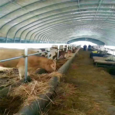 Koyun Tavuk İçin Poli Tünel Sera Kümes Hayvanları Çiftliği