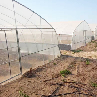 Tek Açıklıklı Plastik Tünel Sera / rüzgar geçirmez Poli Sera Tarımı