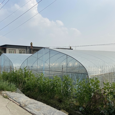 Tarımsal 8m Genişlik PE Film Tek Açıklıklı Tünel Sebze Yetiştiriciliği İçin Plastik Sera